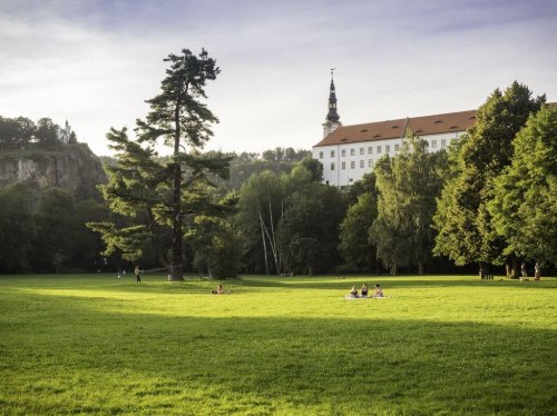 Rekonstrukce Dlouhé jízdy a Růžové zahrady na zámku Děčín