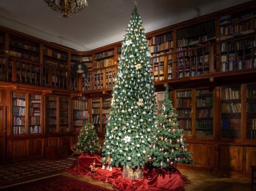 Příběh vánočního stromečku