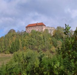 Pecka, hrad
